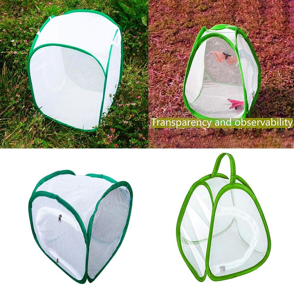 Green Screen Collapsible - Kandang Serangga Dapat Dilipat Hijau Bukaan