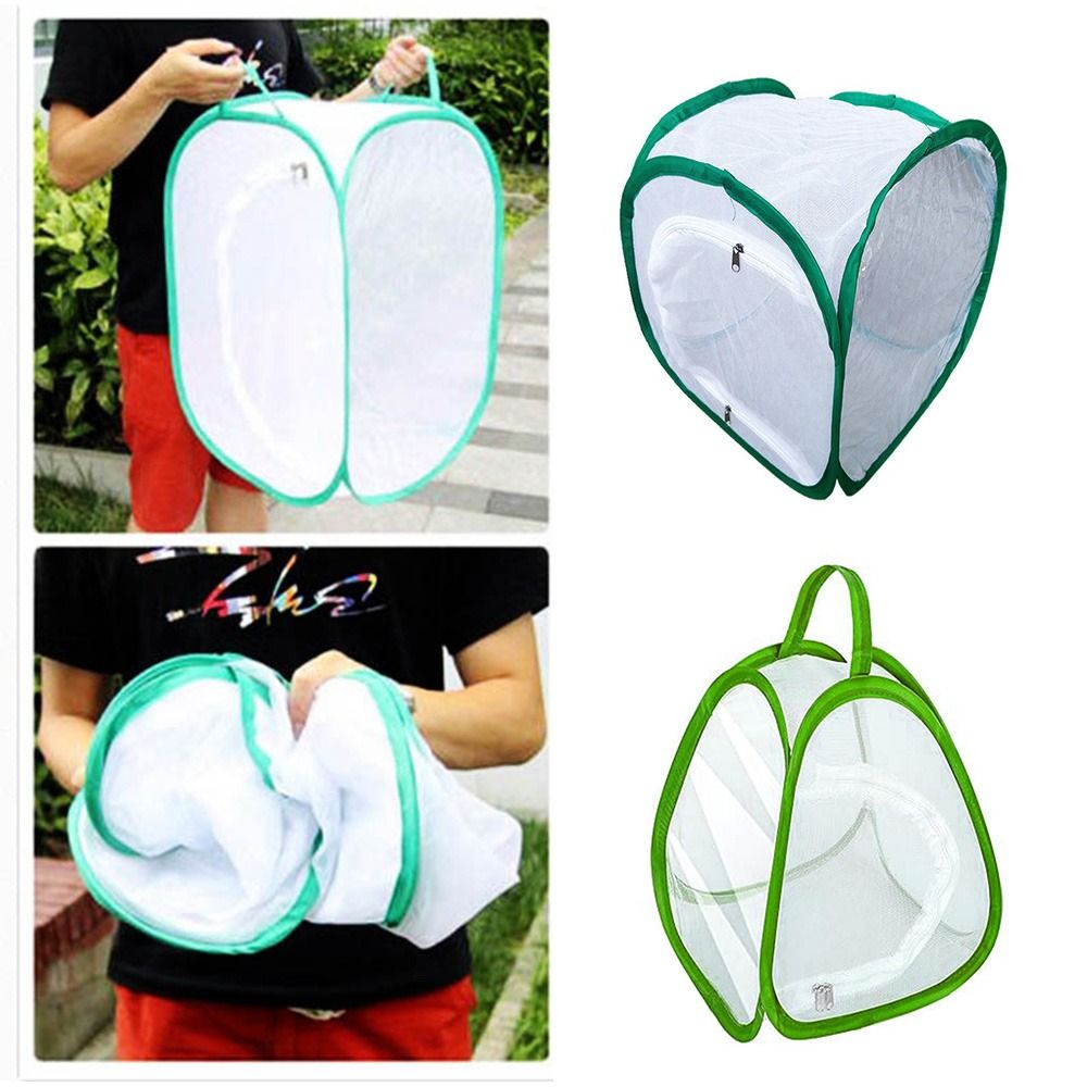 Green Screen Collapsible - Kandang Serangga Dapat Dilipat Hijau Jaring