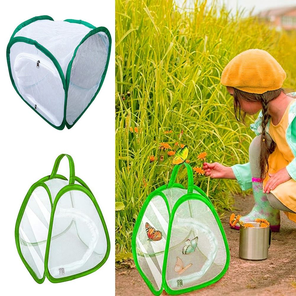 Kandang Serangga Dapat Dilipat - Green Screen Collapsible ulasan dan harga