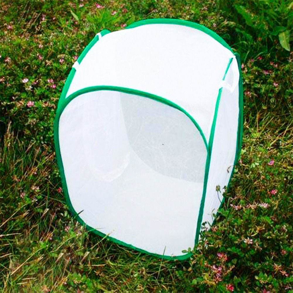 Kandang Serangga Lipat Hijau d - Green Screen Collapsible ulasan dan harga