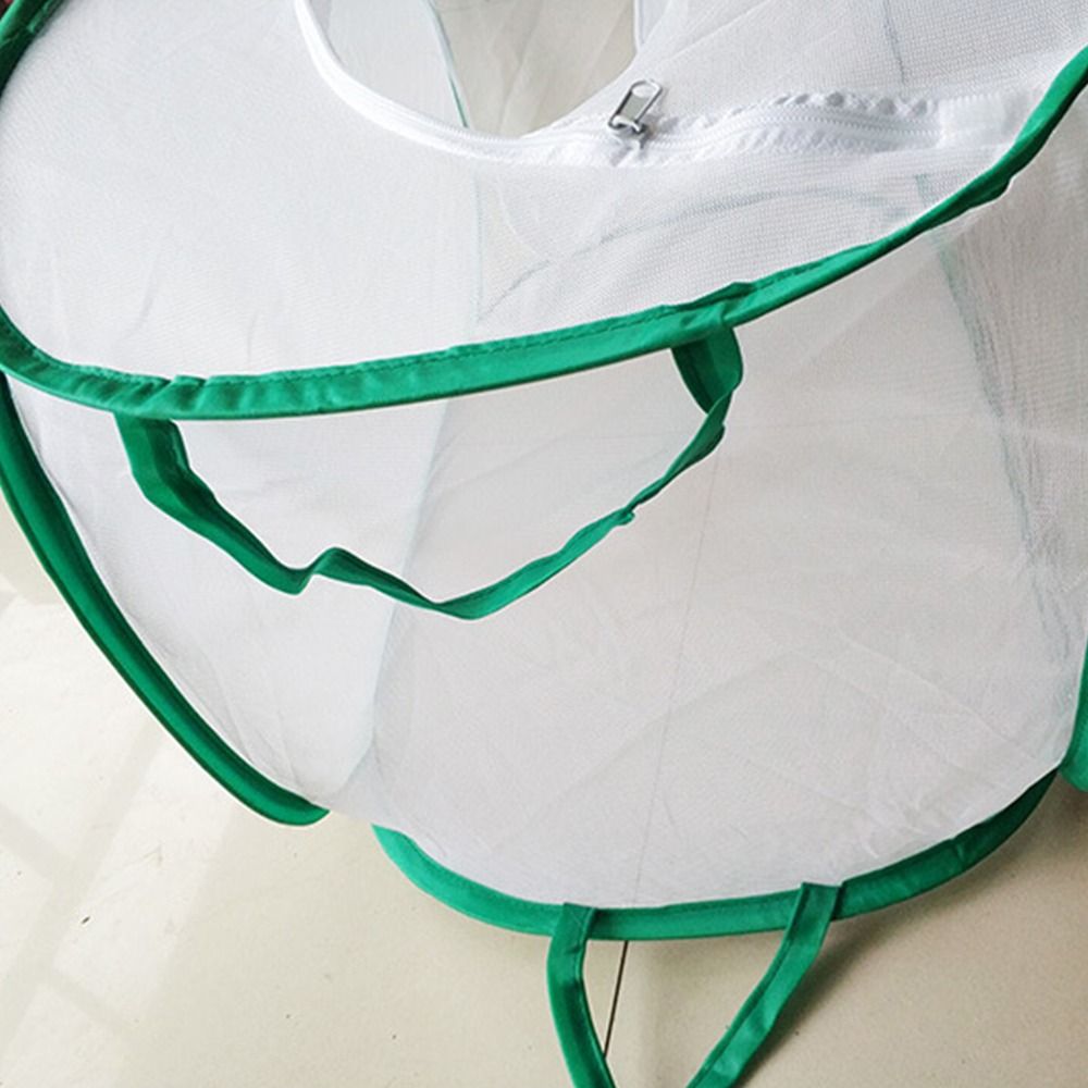 Kandang Serangga Dapat Dilipat - Green Screen Collapsible ulasan dan harga