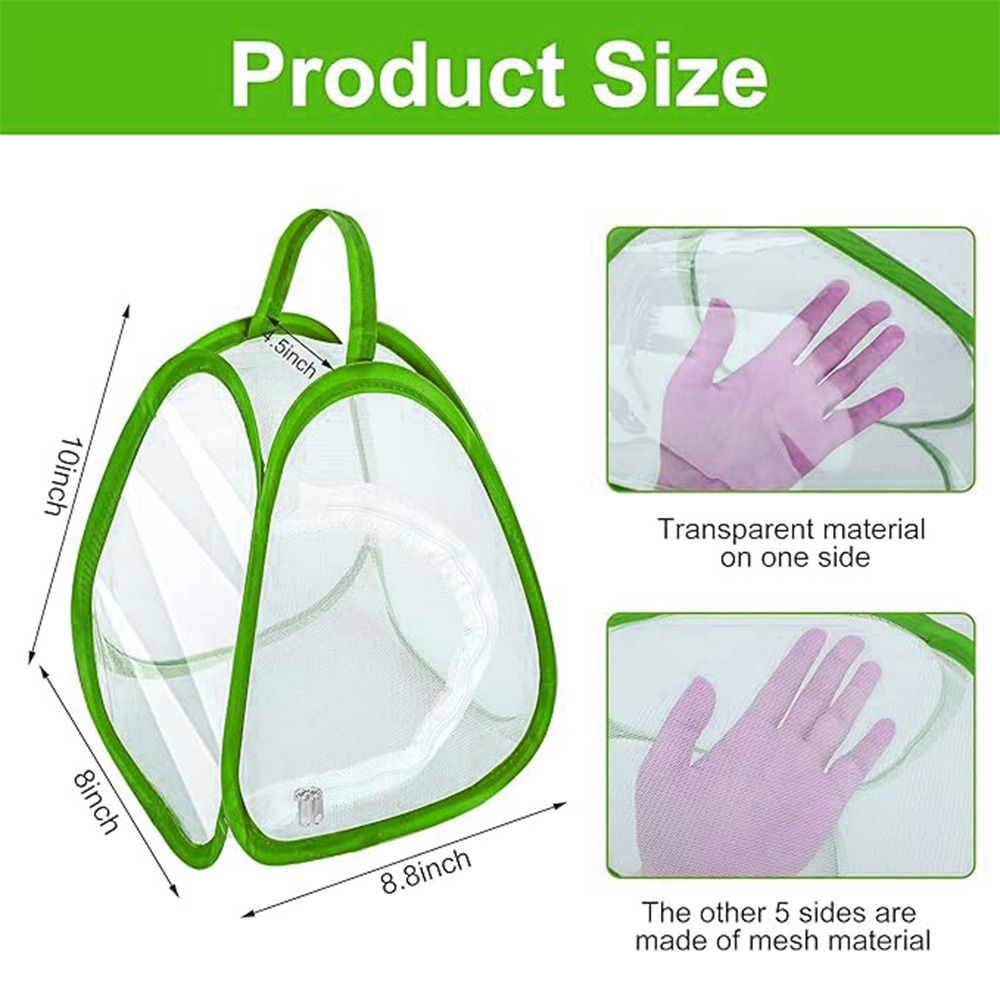 Kandang Serangga Dapat Dilipat - Green Screen Collapsible ulasan dan harga