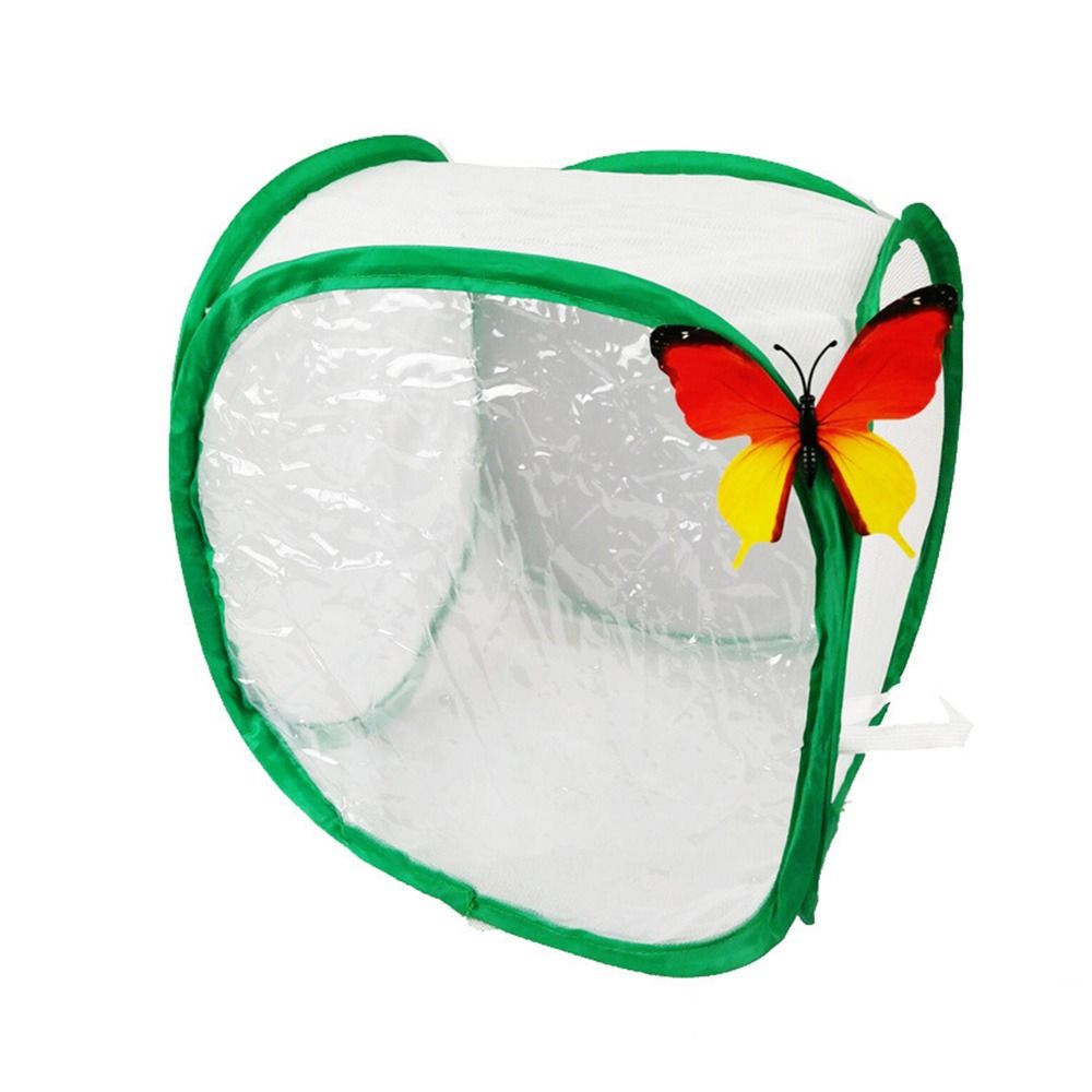 Kandang Serangga Dapat Dilipat - Green Screen Collapsible ulasan dan harga
