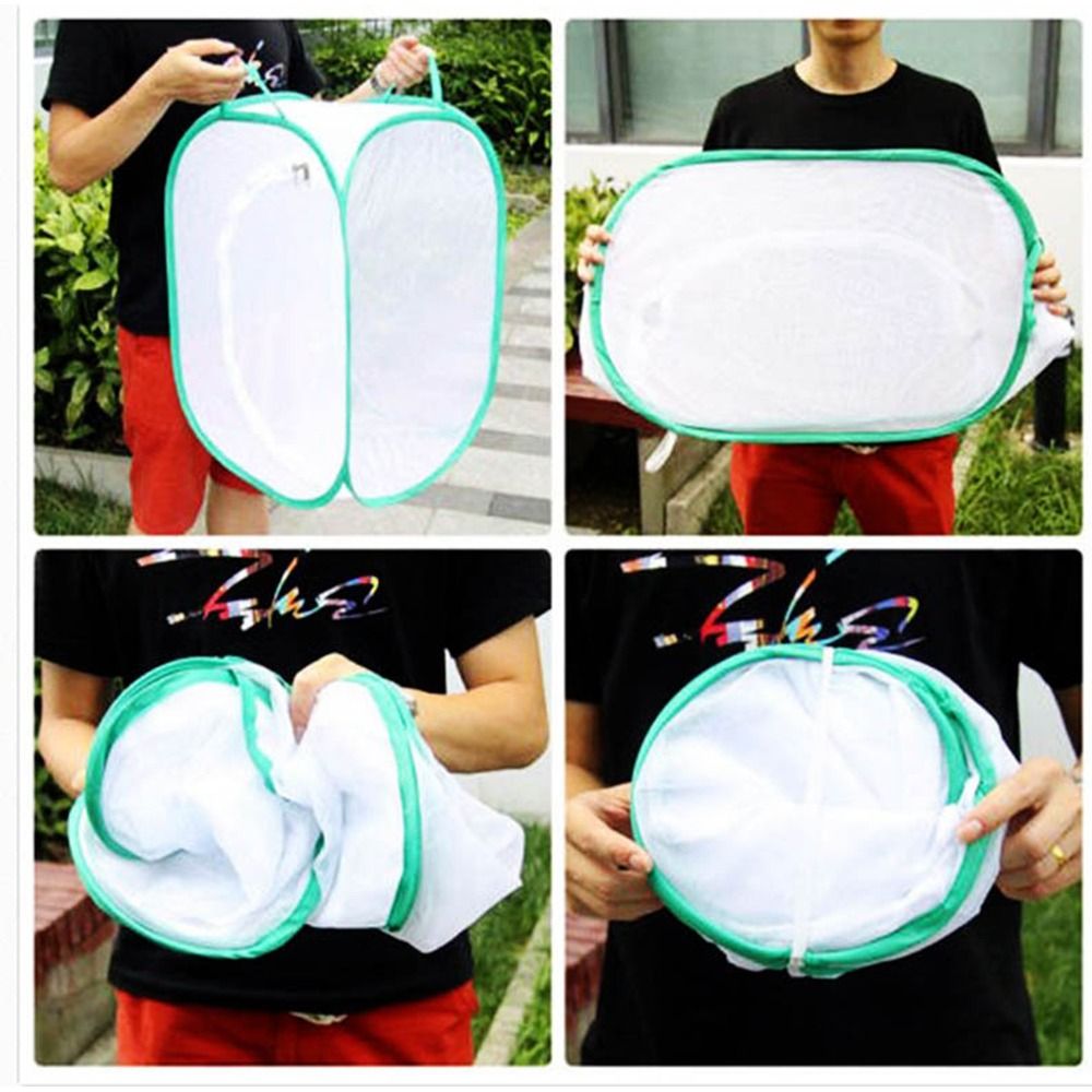 Kandang Serangga Dapat Dilipat - Green Screen Collapsible ulasan dan harga